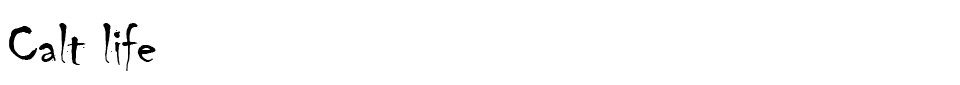 Salt Life Font font preview